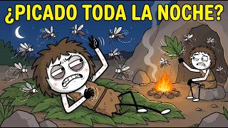 ¿Cómo Dormían Los Humanos De La Antigüedad Con Mosquitos Por Todas Partes?