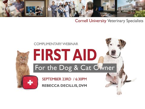 First Aid for the Dog and Cat Owner