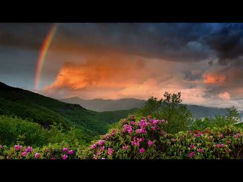 Cântare creștină cu versuri "Lipește-mi Doamne sufletul de Tine" - Mariana Someșan