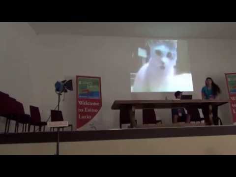 Cool cats doing crazy things at the Wikimania 2016 conference