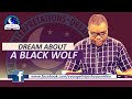 Black Wolf Dream Meaning I Evangelist Joshua Interpretation