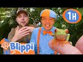 Blippi S Brave Wilderness Adventure Wild Animals Nature Learning Blippi