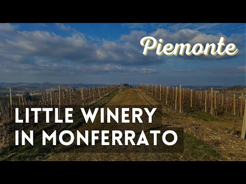 Little vinery in the Monferrato wine land - Nizza Monferrato - Italy