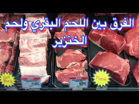 , title : 'الفرق بين اللحم البقري ولحم الخنزير في أمريكا'