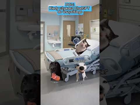 KOCIE MEMY 😼 POV: Kiedy używasz ChatGPT do wszystkiego #catmemes #koty #memy #relacje #relatable