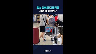 평일 낮에도 긴 대기줄..20만 명 몰려온다 #shorts