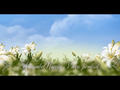 Ansambel NARCIS - V srcu pomlad