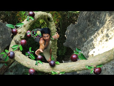 survival in Beautiful forest area - Strange fruits cost a lot delicious On mountain Baysey