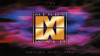 Mendy Wald - Tzadik - מנדי וואלד - צדיק