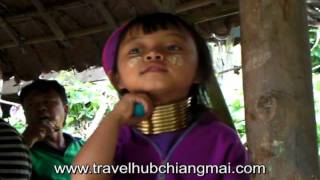 preview picture of video 'T1023 Chiang Mai Highlights & Hill Tribes'