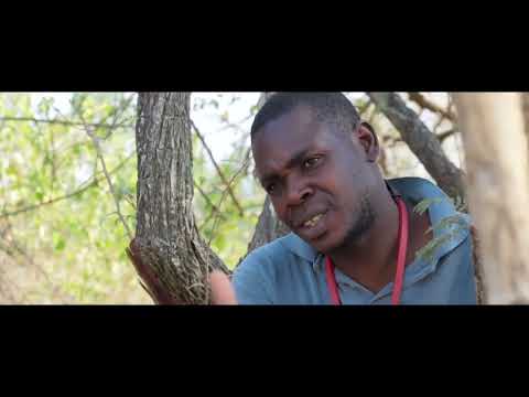 Bontoman - Zarura Gonhi