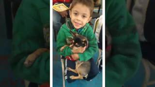 DESFILE DE MASCOTAS Los alumnitos de Nivel Inicial de sala de 4 y 5 del Turno Mañana... DESFILARON CON SUS MASCOTAS!!!!