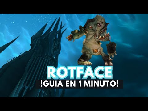 WOW WOTLK ICC | ROTFACE  10 - 25 NORMAL Y HEROIC  CLASSIC LICH KING