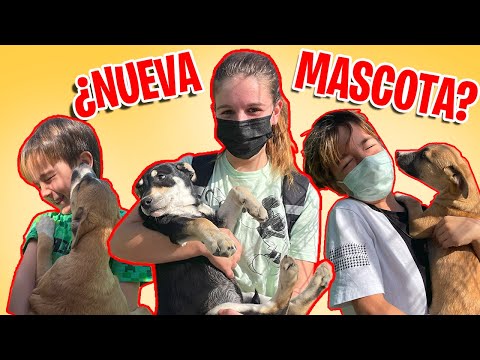 BUSCANDO la mejor MASCOTA para ADOPTAR + Excursión en familia
