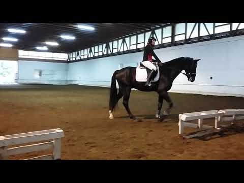 Vereinsmeisterschaft 2017