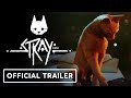 Stray  Minden platform  játékmenet videója