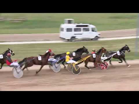 2022.06.11. 02. futam - ELEGANT LADY DÍJ