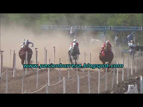 Sin Codigo, Quimili (29-10-17)