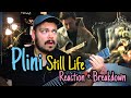 Guitar Teacher Tries To Prog  | Plini Still Life REACTION and Breakdown