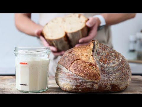 Create your own Thriving Sourdough Starter Easily Without Wasting Bags of Time or Flour