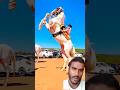 Cute Baby And Horse Horse Horses Ghoda Acute Babu
