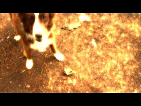 Misty Bywater - Sam Likes Sticks