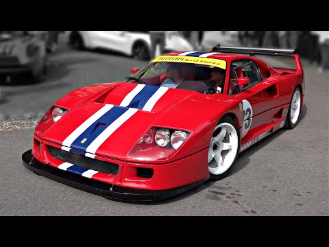 Ferrari F40 LM Competizione feat. Straight Pipes | Start Up, Engine Warm up, Revs & Accelerations!