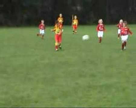 Stevo F1 - Excelsior F2