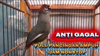 Download lagu POKSAY MANDARIN GACOR PALING AMPUH UNTUK PIKAT DAN PANCINGAN POKSAY MALAS BUNYI mp3