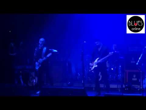 Waglewski Fisz Emade - 9. Suwałki Blues Festival