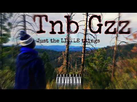 Tnb Gzz - Just the LITTLE things