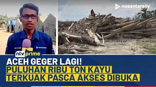Download lagu Akses Baru Terbuka, Gelondongan Kayu Diduga Hasil Deforestasi Muncul Usai Banjir Aceh | NTV PRIME mp3