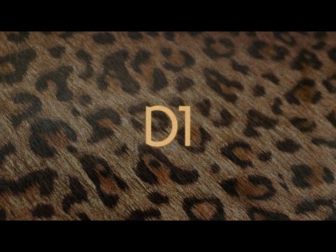 Video thumbnail for D1