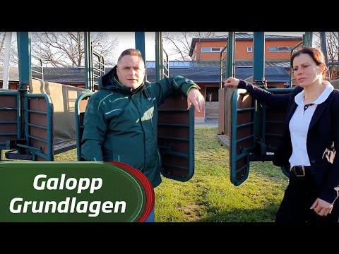 Gallop Basics #20 Racing Rider