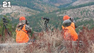 Washington Late Season OTC Whitetail Deer Hunt (Cooking with the Stomach/Tripe)