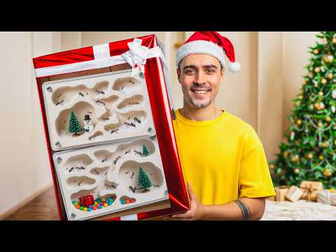NOWY ŚWIĄTECZNY BIOM DLA MRÓWEK 🐜🎄