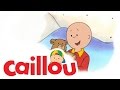 Caillou Caillou S Getting Older S01E48 Cartoon For Kids