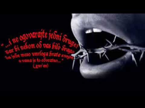 Prof. Enes Julardžija- Opasnost jezika