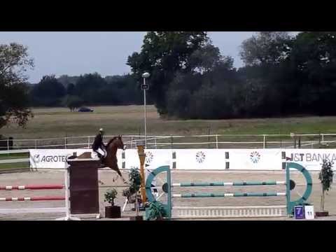 Empirio s Jirkou Malým, ESC Olomouc 22.8.2014,  parkur L*