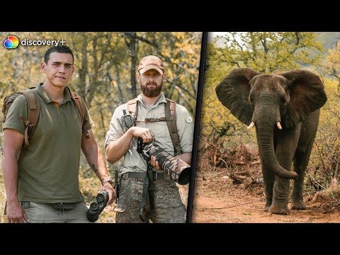 Mit Survival Mattin in Südafrika ???????? 5 Tage lang suchen wir die 5 gefährlichsten Tiere | Teil 1