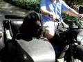 Newfoundland Camille Rides in the Side Car ...