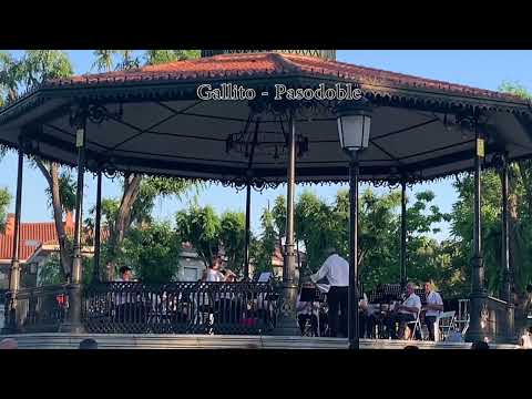 Encuentro de Bandas Junio 2022 - Banda de Aldea del Fresno & Banda de Brunete