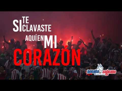 "Como no voy a alentar - Chivas" Barra: La Irreverente • Club: Chivas Guadalajara