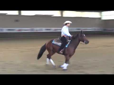 Maturity IRHA 2017 - FEDERICA SANTANTONIO su KN MIAMI SKEETS di LUCA MAURI con score 144,5