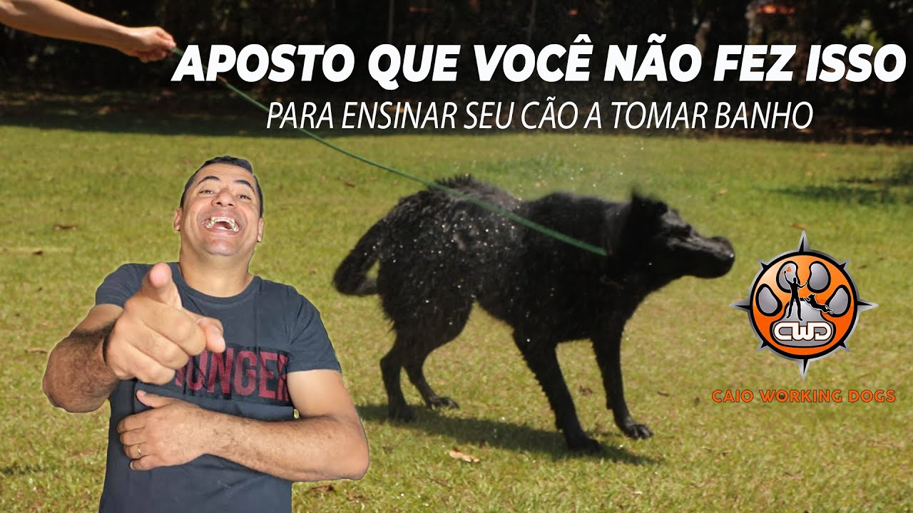 VOCÊ NÃO CONSEGUE DAR BANHO NO SEU CÃO PORQUE NÃO ENSINOU DESSE JEITO