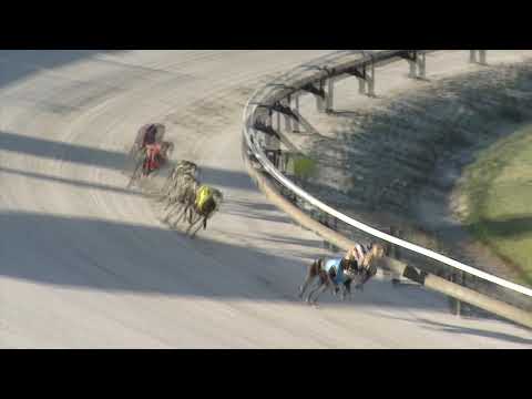 Albion-Park-11112018-Race-1