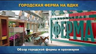Ресторан - Ферма - Видео