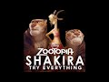 Shakira Try Everything Official Audio