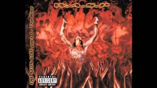 W.A.S.P. - Why Am I Here