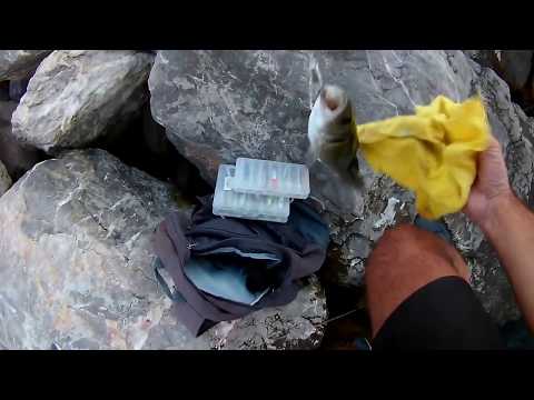 DUO TETRA WORKS YURAMEKİ İLE LEVREK AVI